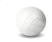 Beach Volleyball Menu